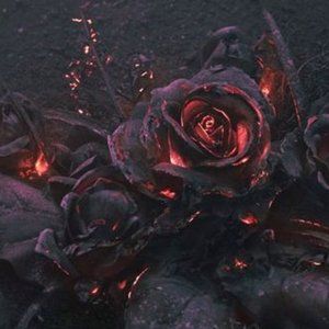 Meet your Posher, Jen